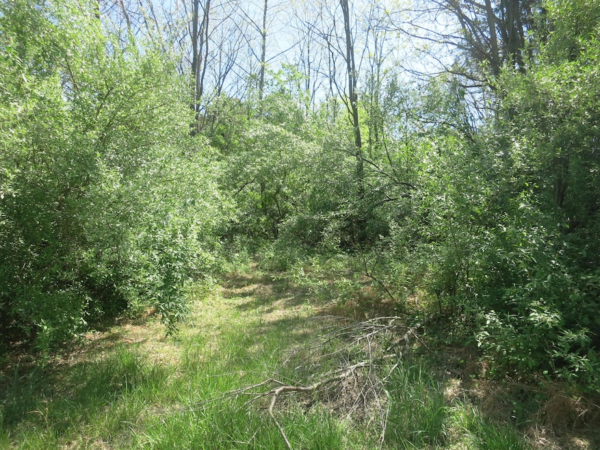 Main Photo