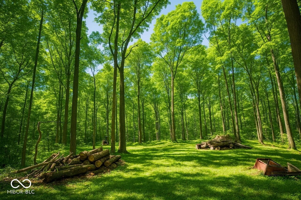 9660 A Old Haggard Rd, Jackson Township, IN 46160 - photo 1