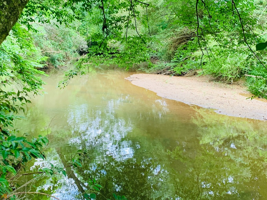 0 Herrin Rd unit 10056385, Cornelia, GA 30531 - photo 1