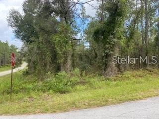 0 SW Viburnum Rd unit MFROM657285, Dunnellon, FL 34431 - photo 1