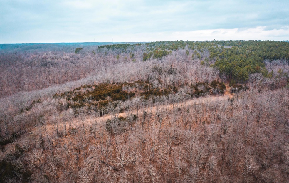 0000 County Road 7340, Newburg, MO 65550 - photo 1