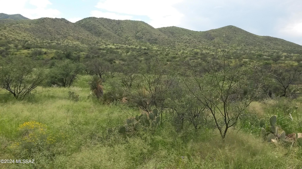 0 Goodenough Trail unit Lot 1 22524989, Vail, AZ 85641 - photo 1