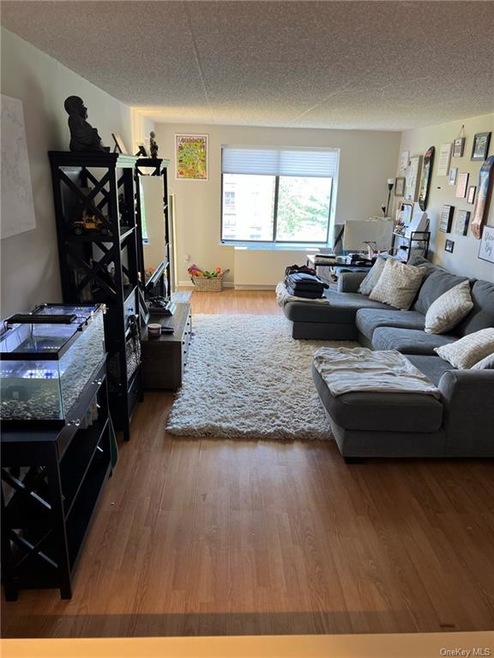 Living Room from Entrance
