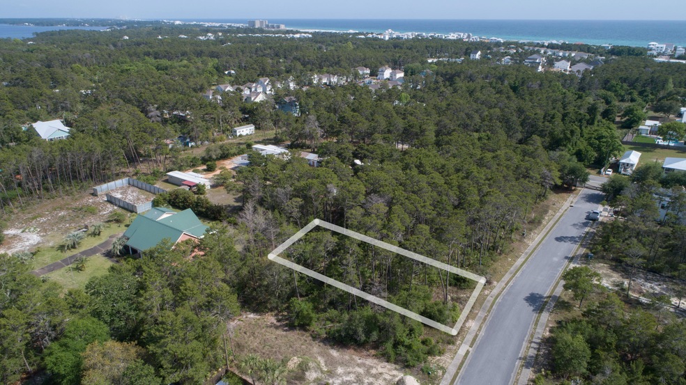 Lot#6PineConeTr-4