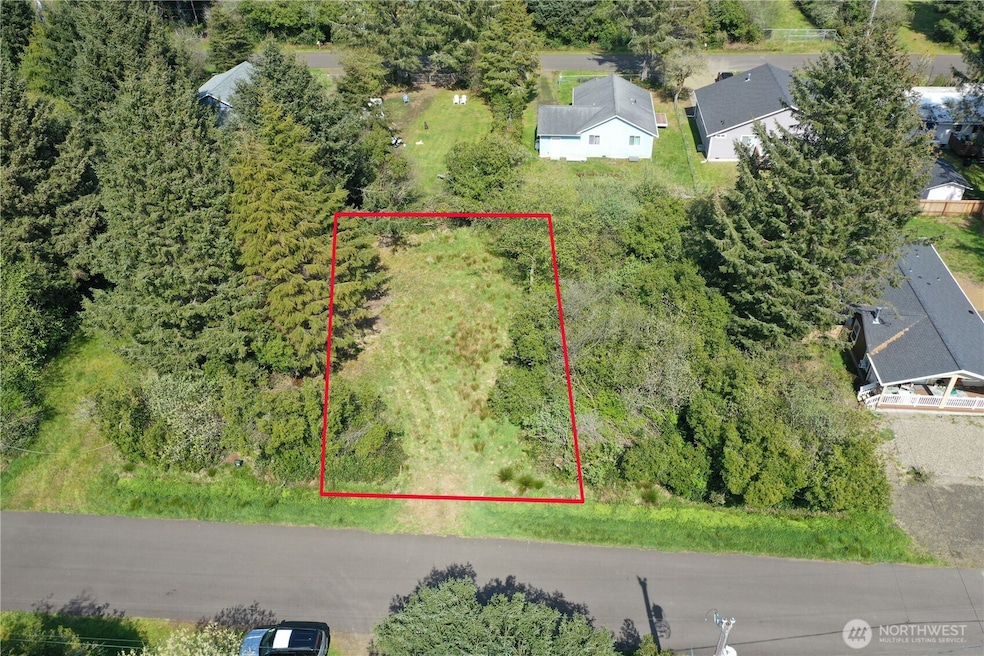 382 Cygnus Ave SW, Ocean Shores, WA 98569 - photo 1