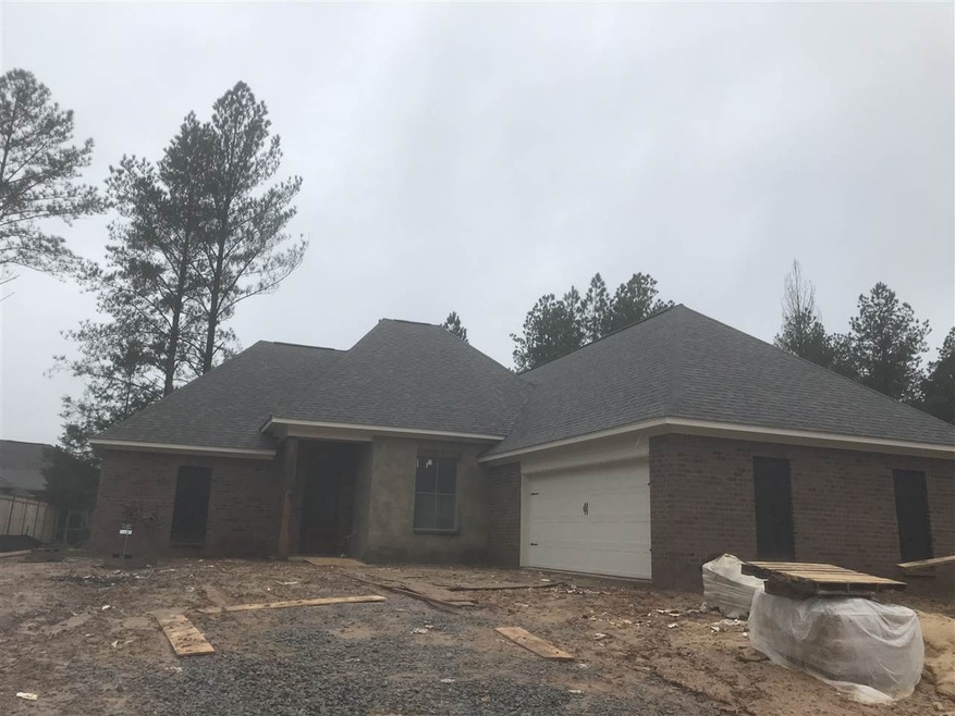 132 Hampton Ln, Madison, MS 39110 - photo 1