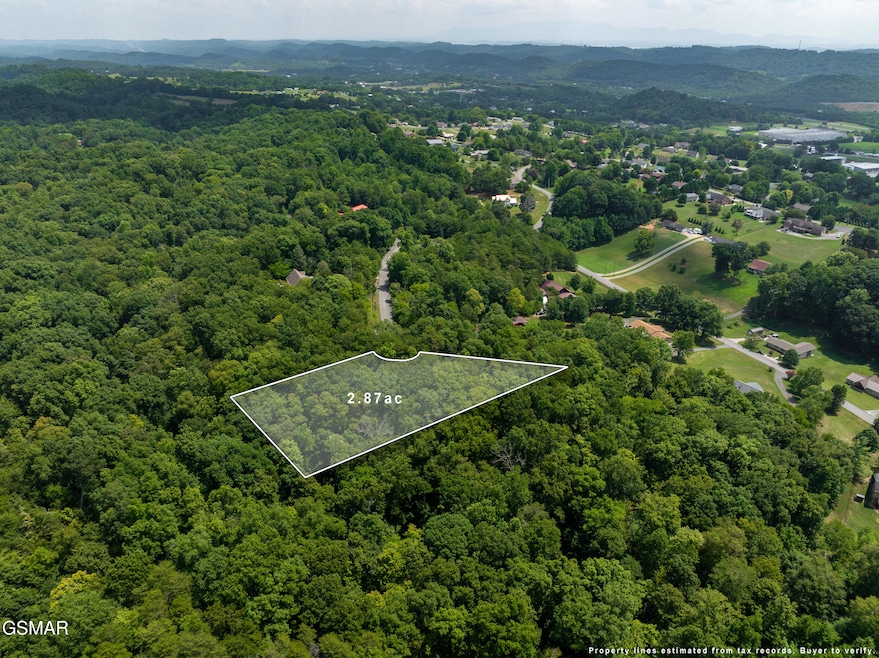 Lot 56 Blue Byrd Ln, Kodak, TN 37764 - photo 1