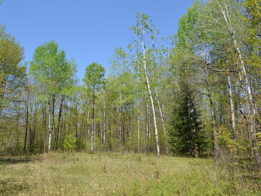 AT Hwy 86, Tomahawk, WI 54487 - photo 1