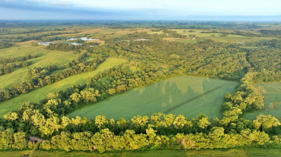 Hazel Rd, Newtown, MO 64667 - photo 1