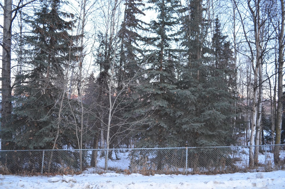 7727 Lumbis Ave, Anchorage, AK 99518 - photo 1