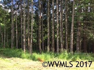 9300 SW Youngberg Hill Rd, McMinnville, OR 97128 - photo 1