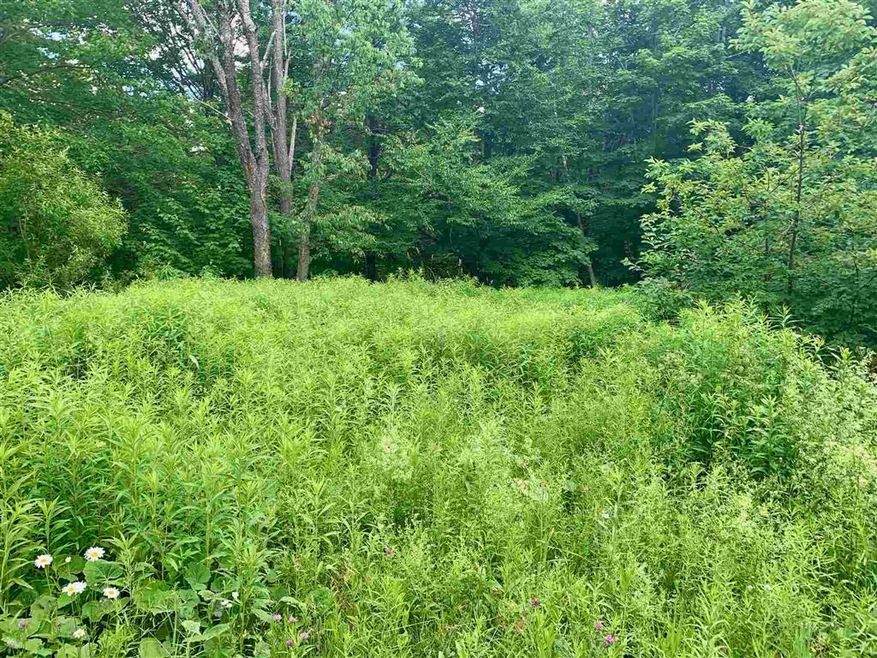 00 Mann Rd unit Lot 3, Wilmington, VT 05363 - photo 1