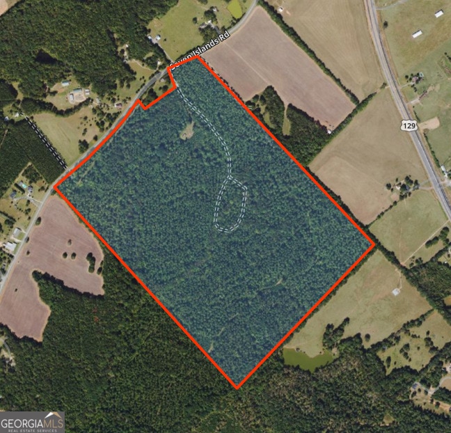 0 Seven Islands Rd unit 10585751, Madison, GA 30650 - photo 1