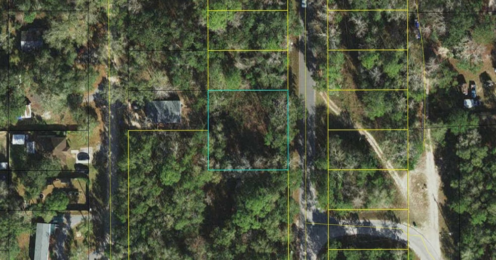 xxx Franklin Dr, Crawfordville, FL 32327 - photo 1