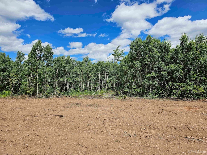 TBD N Greenwood - 3 Dr, Ishpeming, MI 49849 - photo 1