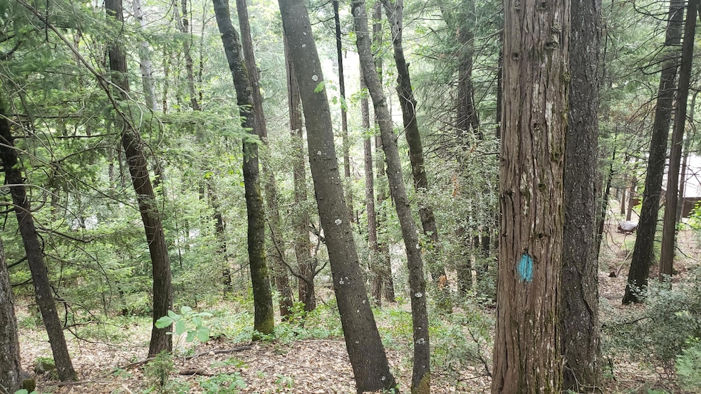 00 Upper River Ave, Dunsmuir, CA 96025 - photo 1