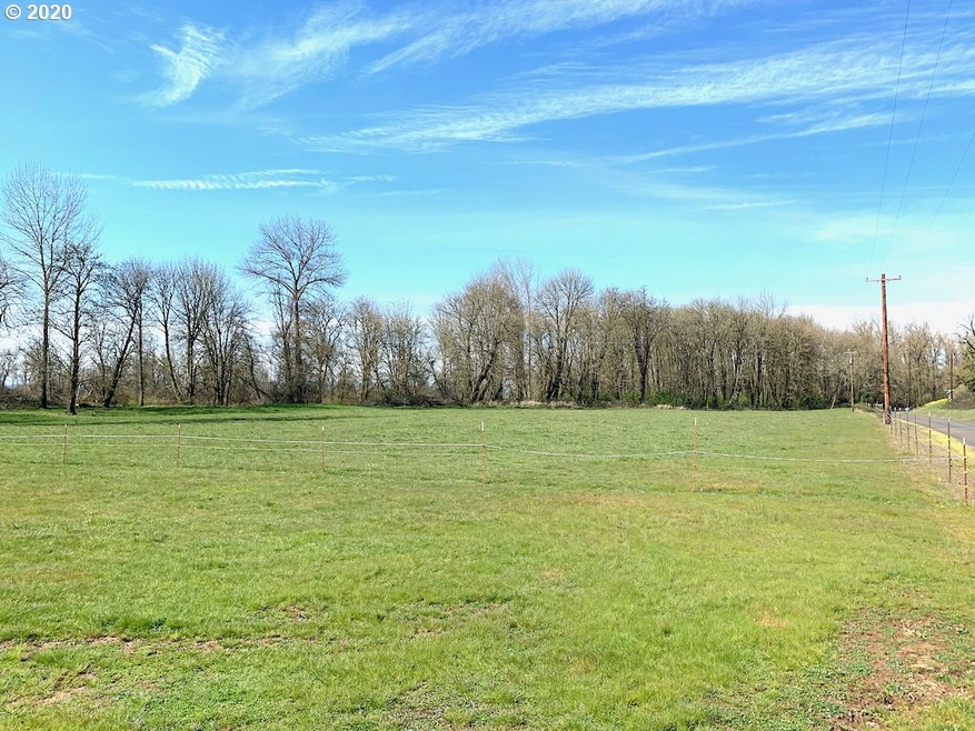 0 Hayes Ln unit 20078951, Junction City, OR 97448 - photo 1