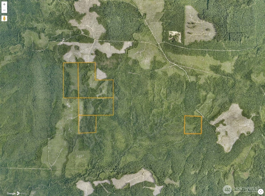 0 0 unit NWM2454601, Humptulips, WA 99353 - photo 1