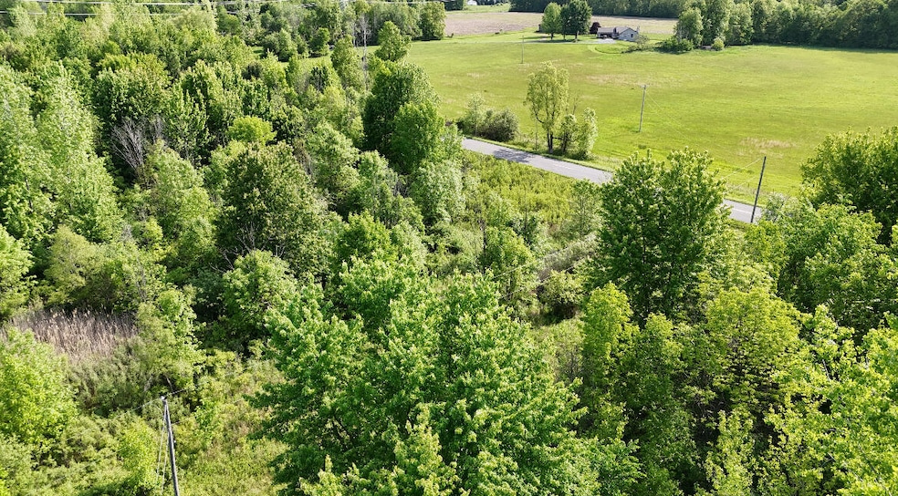 13027 Shaner Ave NE, Cedar Springs, MI 49319 - photo 1