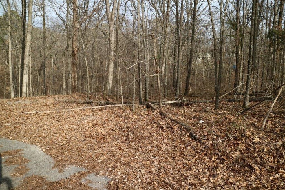 Lot 15 Stewkley Ln, Bella Vista, AR 72714 - photo 1