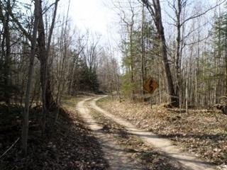 Driveway of Property