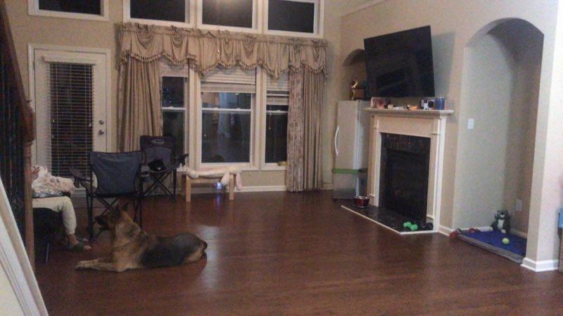 393 Reynoldston Way, Suwanee, GA 30024 - photo 1