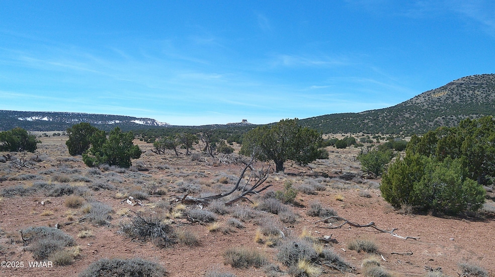 0 Windsor Valley Ranch unit 254962, Concho, AZ 85924 - photo 1