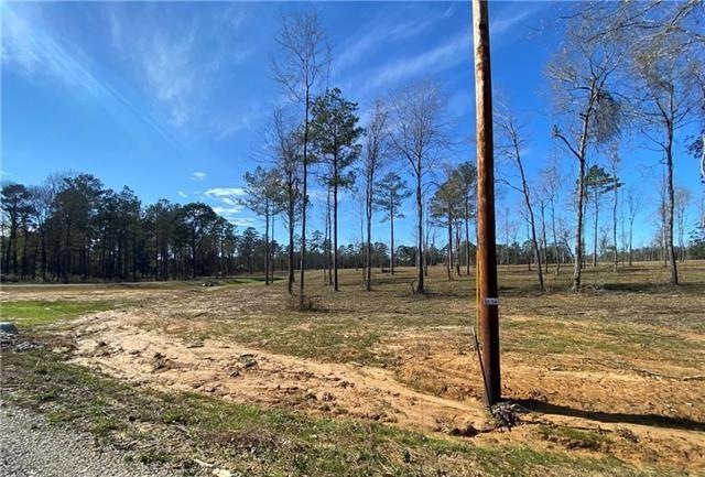 0 Sophie Ln unit 2494383, Dry Prong, LA 71423 - photo 1