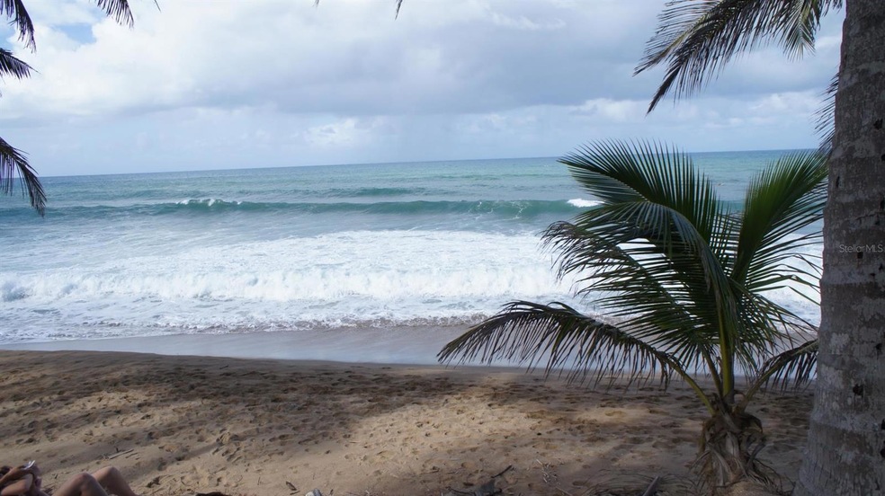 0 Sandy Beach Beachfront Lot unit MFRPR9102381, Rincon, PR 00677 - photo 1