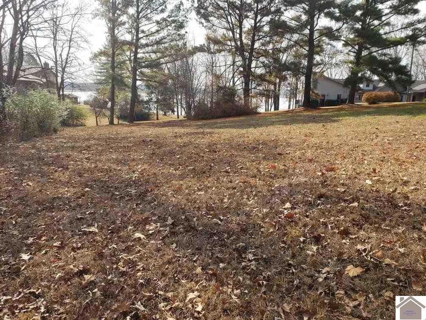 Lot 10 Lake Ridge Ln, Murray, KY 42071 - photo 1