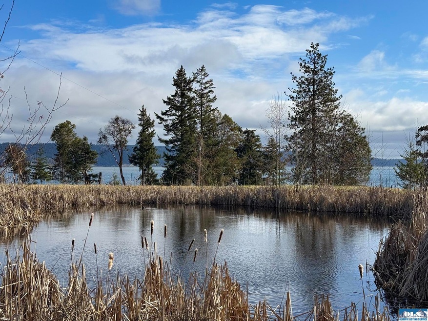 358 Daisey King Rd, Sequim, WA 98382 - photo 1