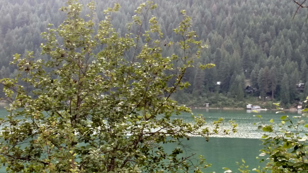 IMG_20150629_173941530_HDR