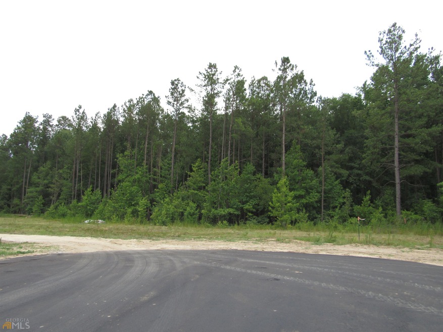 1045 Hampton Ave, Swainsboro, GA 30401 - photo 1