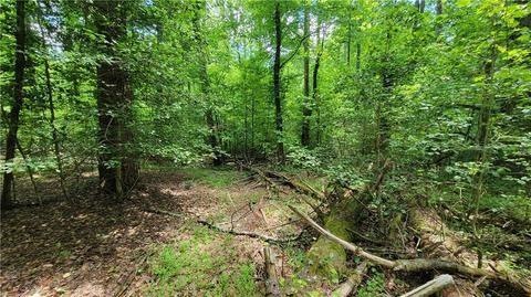0 Muddy Rd unit 7227151, Cleveland, GA 30528 - photo 1