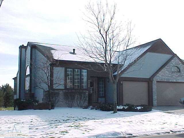 Primary Photo