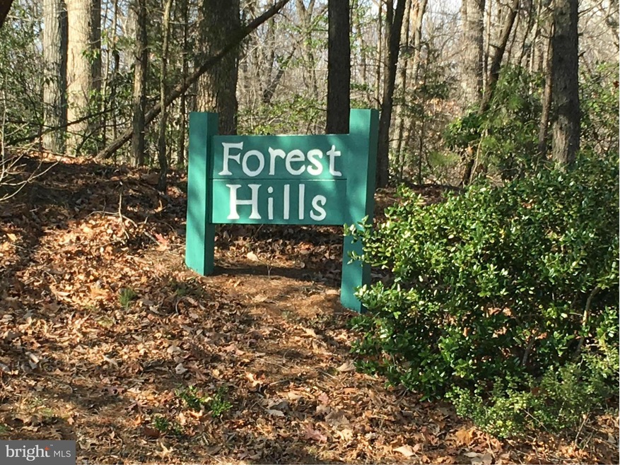 12791 Westside Rd, Manassas, VA 20112 - photo 1