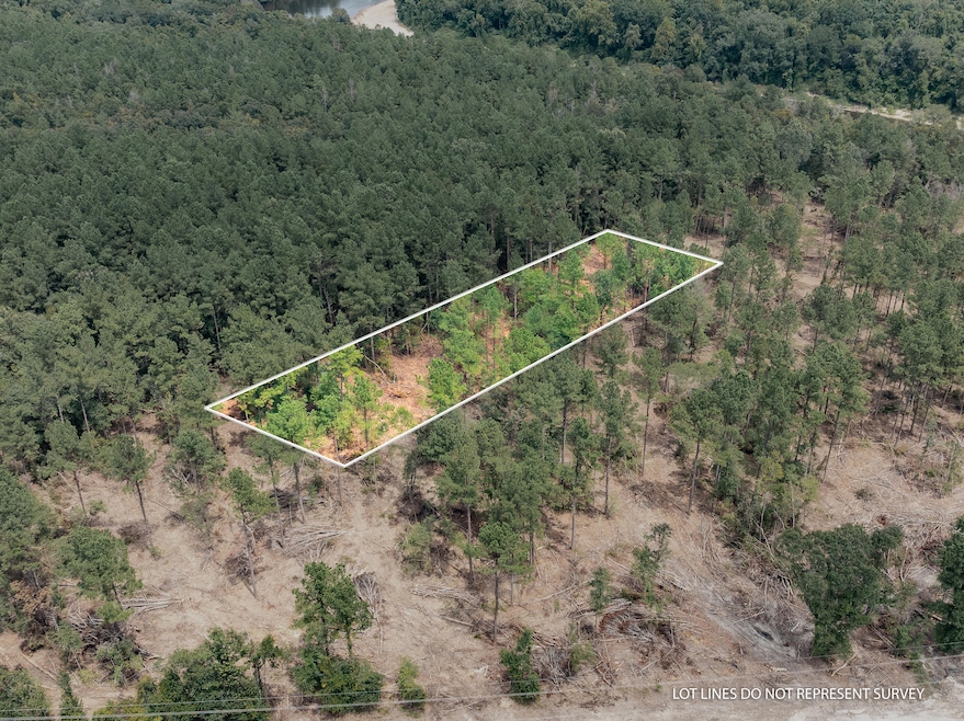 Leaf_River_Parcel_13-1