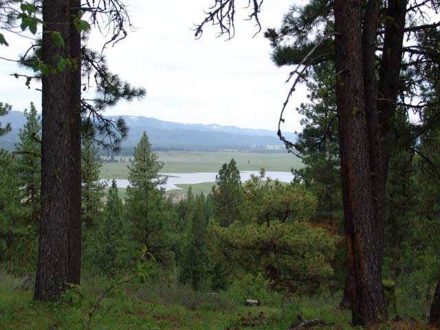 Main View