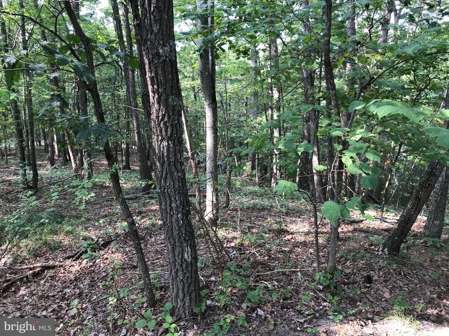 0 Williams Ln unit VASH120300, Basye, VA 22810 - photo 1