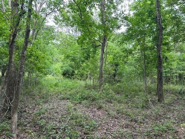 0 Todd Dr unit 2532489, St. Bernard, LA 70085 - photo 1