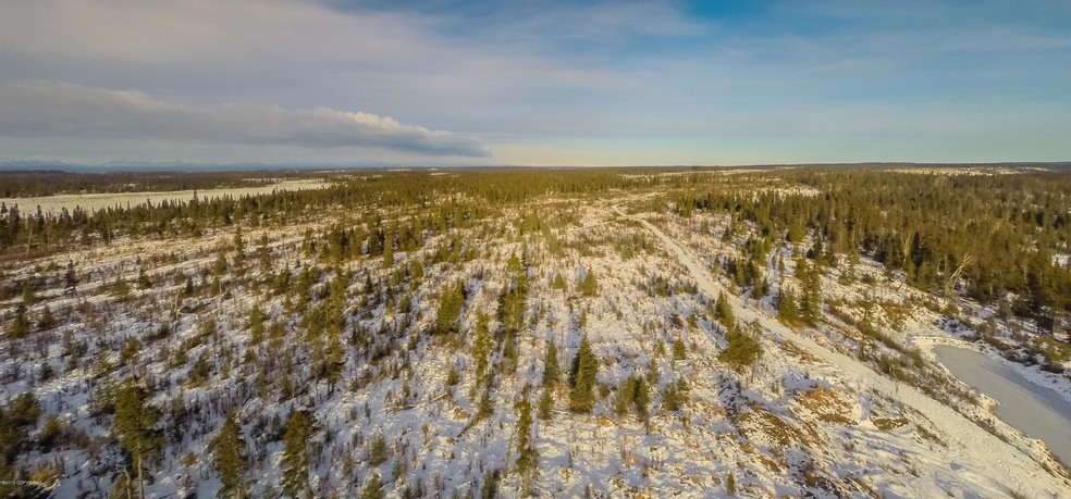 30434 Right Bank, Anchor Point, AK 99556 - photo 1