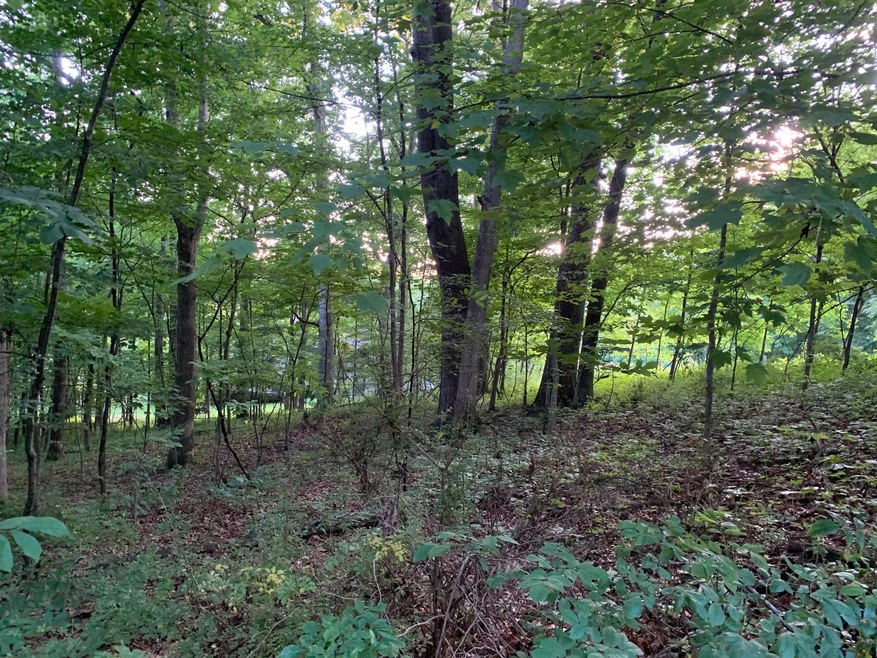 0 Grand Valley Rd unit 221023304, Brown Township, OH 43028 - photo 1