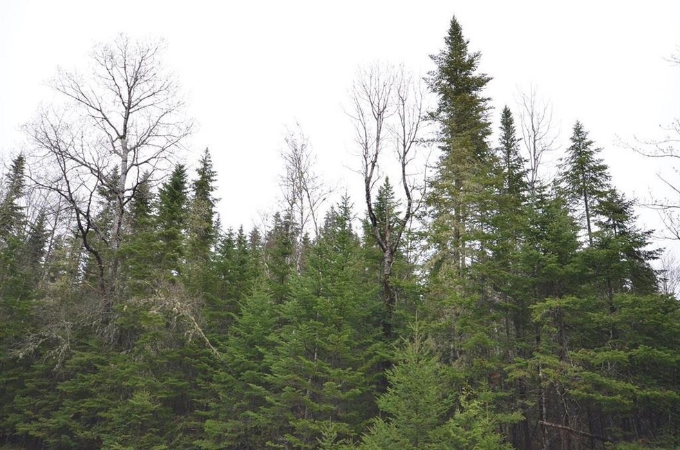 Maine Land for Sale in Prentiss TWP