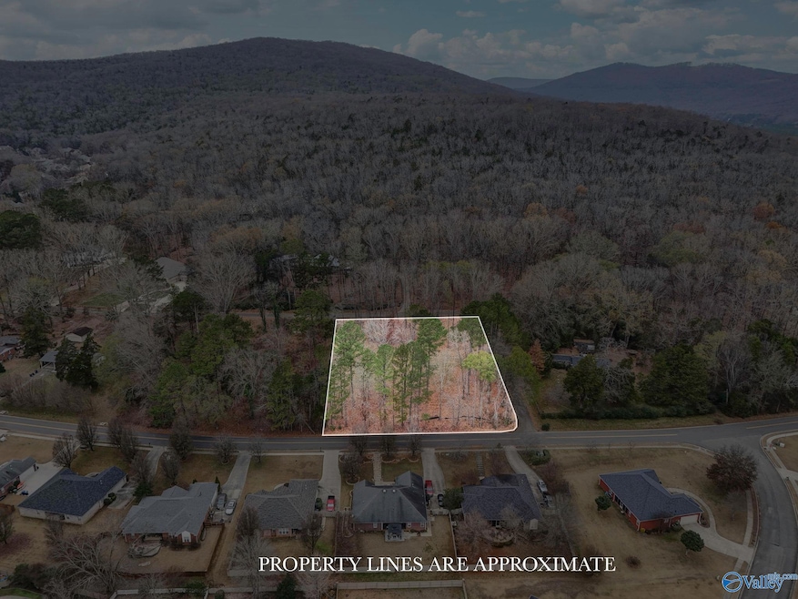 2571 Little Cove Rd, Owens Cross Roads, AL 35763 - photo 1