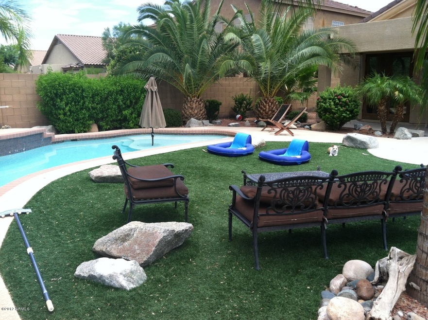Palms and Pool
