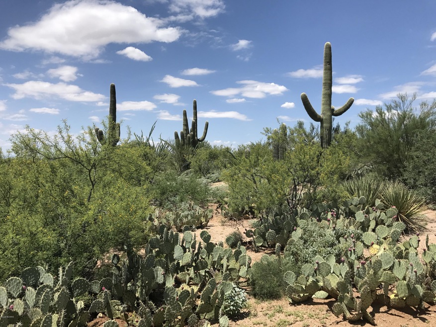 Gorgeous custom lots