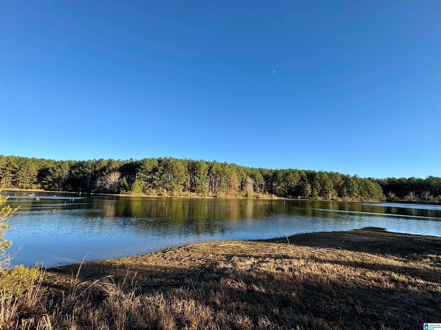 10000 Eastern Valley Rd, Woodstock, AL 35188 - photo 1