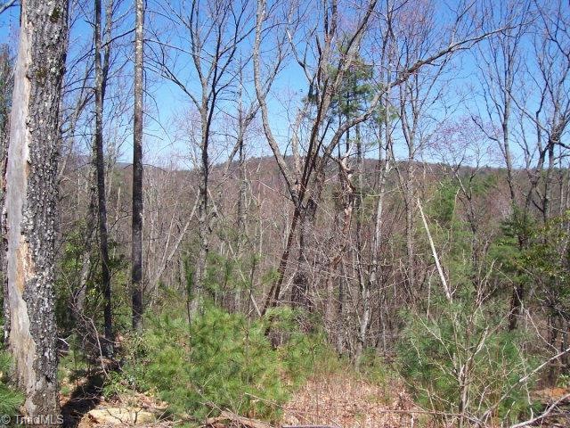 LT124 Pepper Bush Rd, Purlear, NC 28665 - photo 1