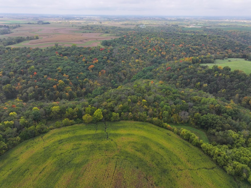 xxx 270th St, Norway Township, MN 55971 - photo 1