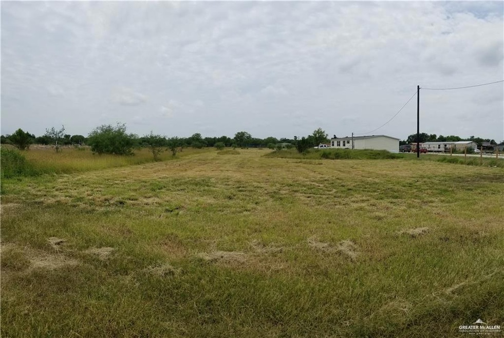 000 Stites Rd, Donna, TX 78537 - photo 1